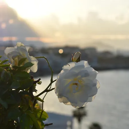 Apartment Diotima - Astonishing Seaview *